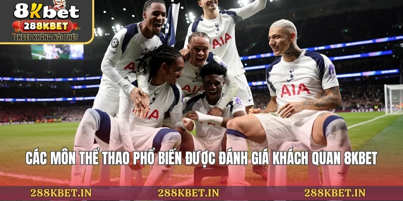 Các Môn Thể Thao Phổ Biến
