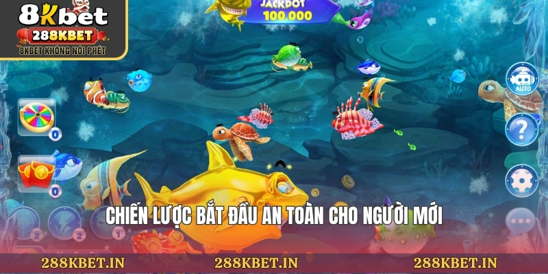 Chiến lược bắt đầu an toàn cho người mới