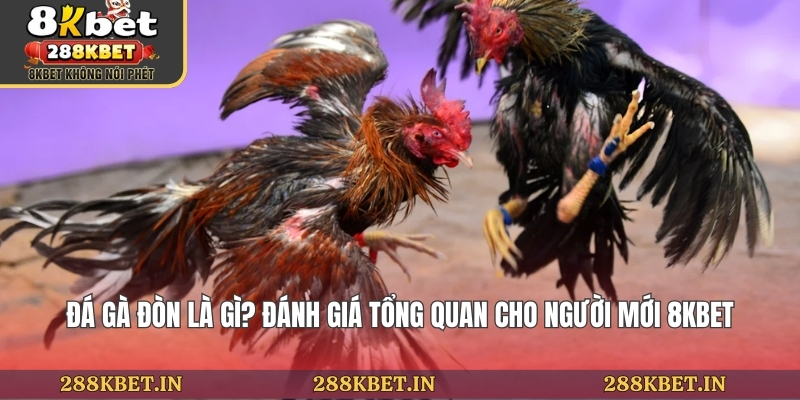 Đá Gà Đòn Là Gì