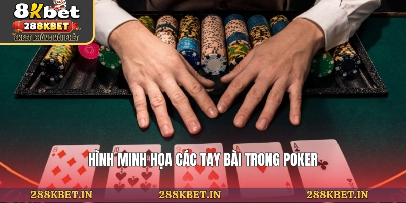 Hình minh họa các tay bài trong poker