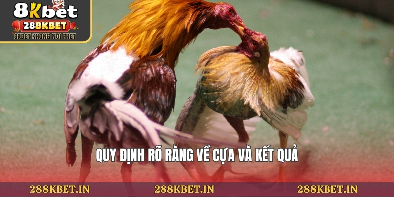 Quy định rõ ràng về cựa và kết quả