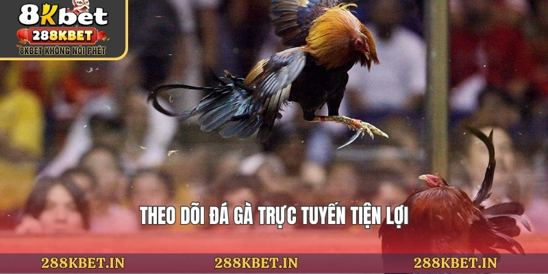 Theo dõi đá gà trực tuyến tiện lợi