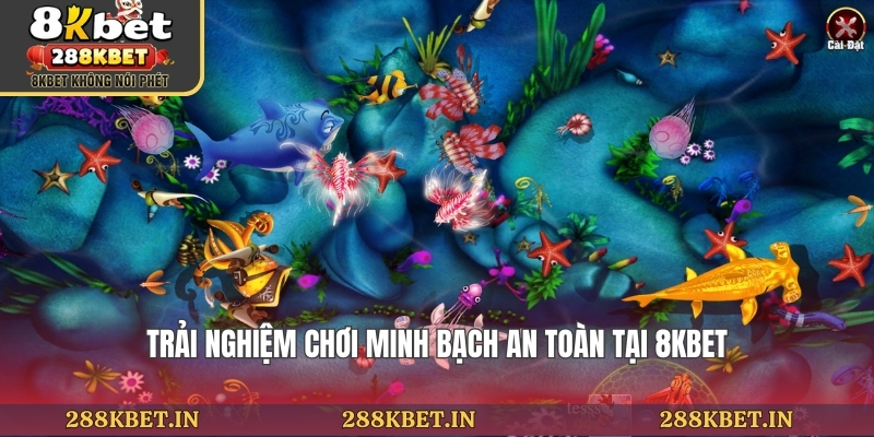 Trải nghiệm chơi minh bạch an toàn tại 8KBET